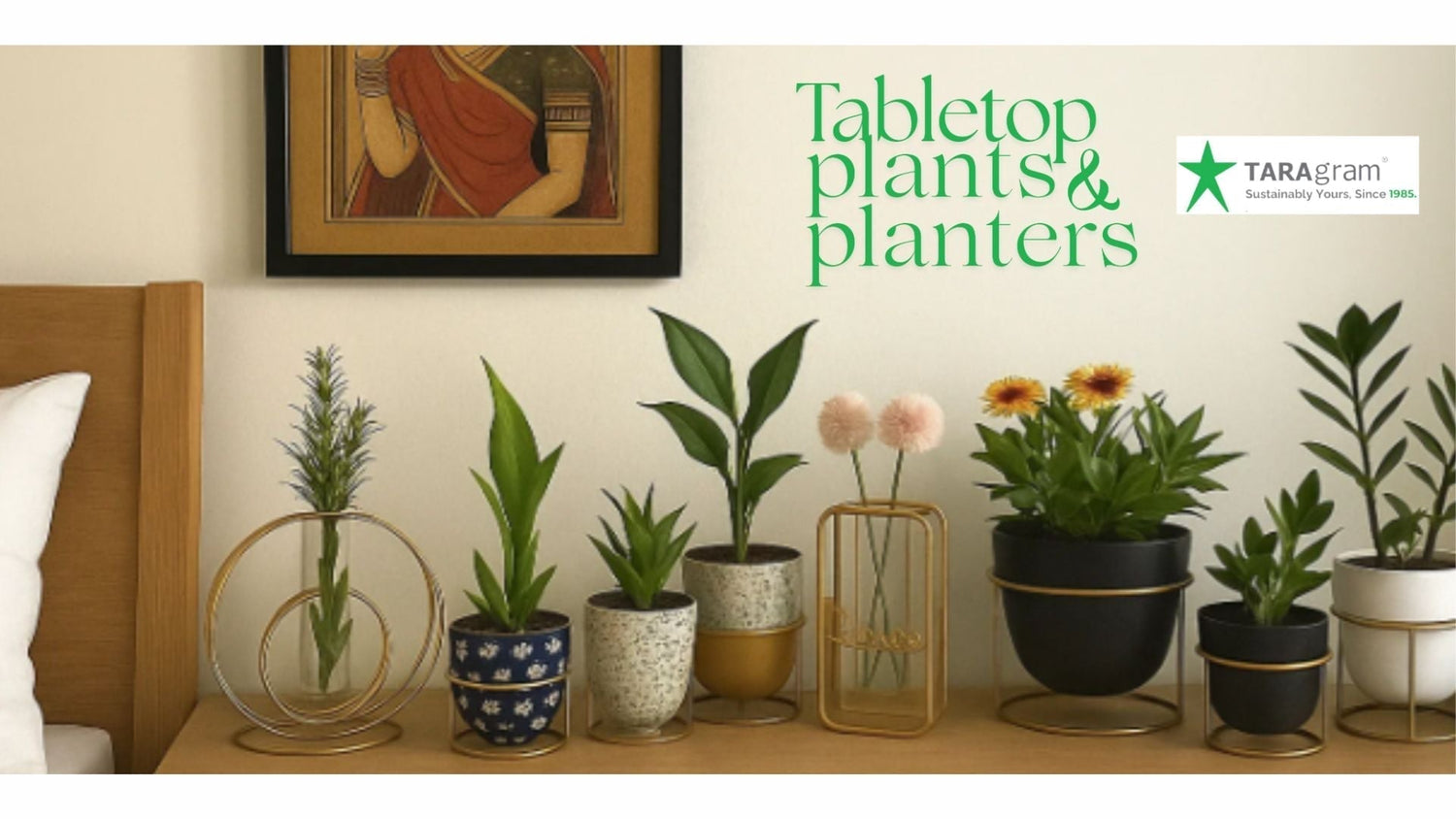 Why Desk & Bedside Plants Help You Breathe Better Post-Diwali