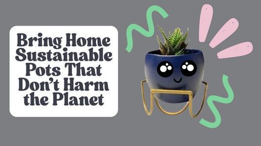 Eco Planters That Last: Choosing Sustainable Pots That Don’t Harm the Planet