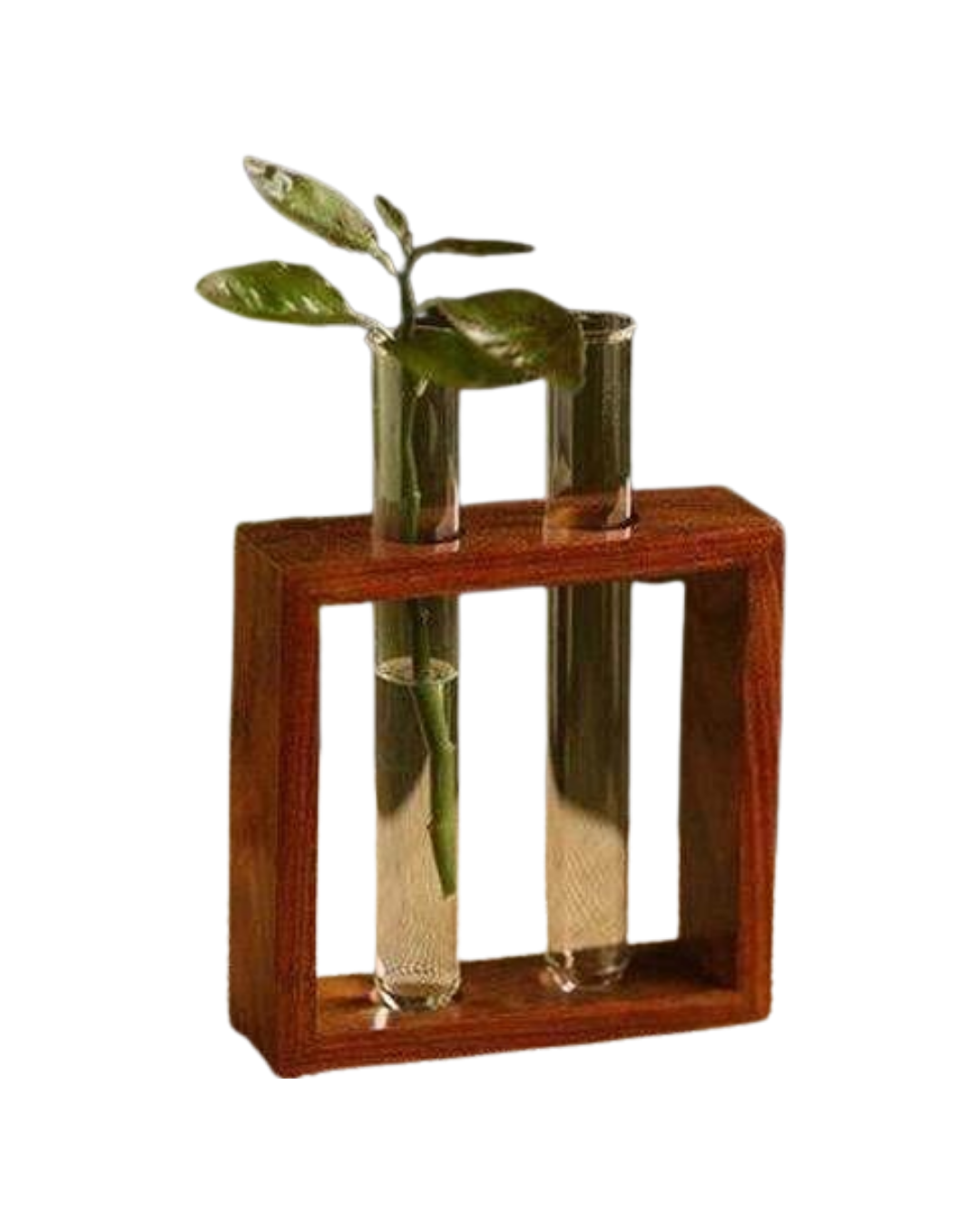 Wooden Frame Test Tube Planter