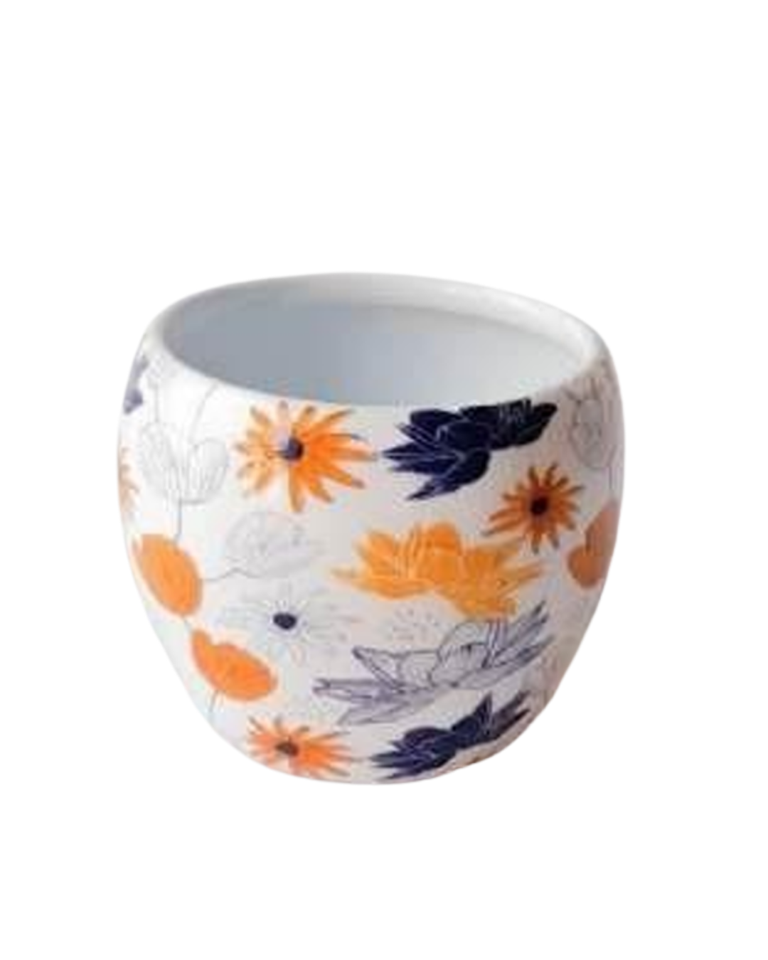 Artisan Meena Apple Pot