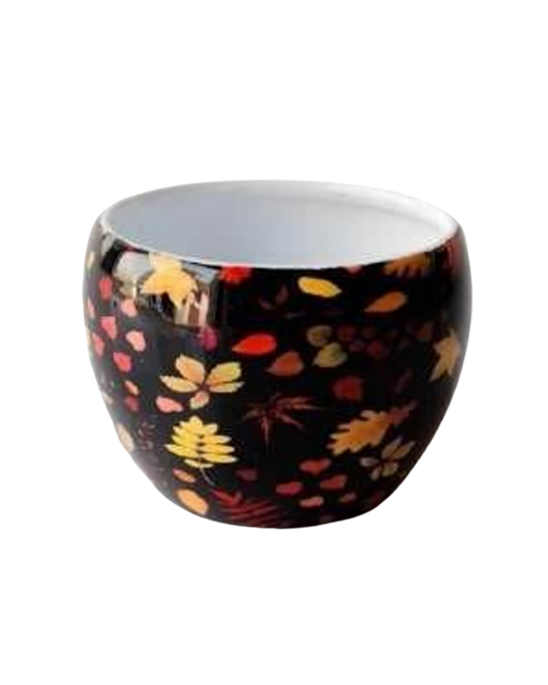 Artisan Meena Apple Pot