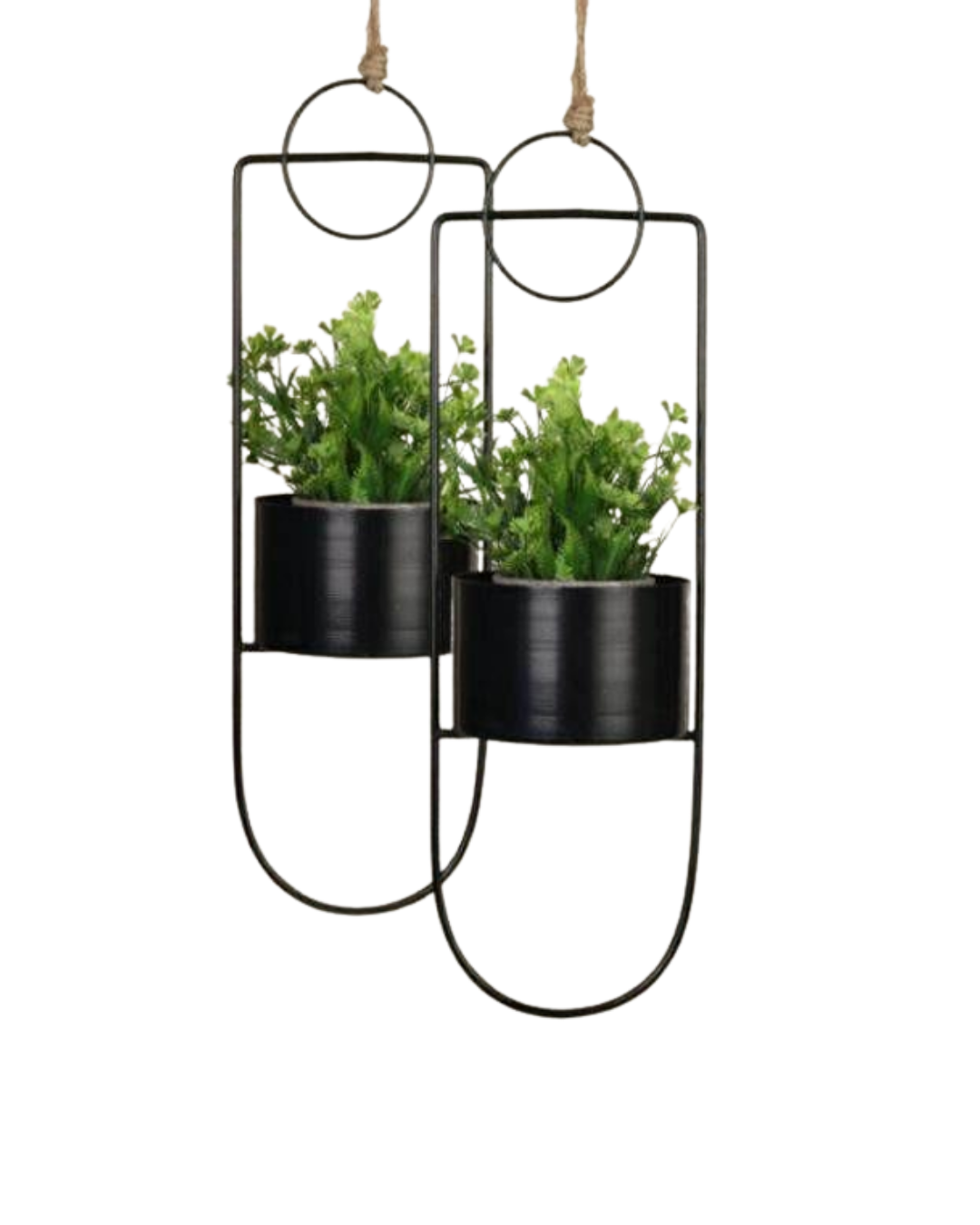 Skyward Hanging Planter