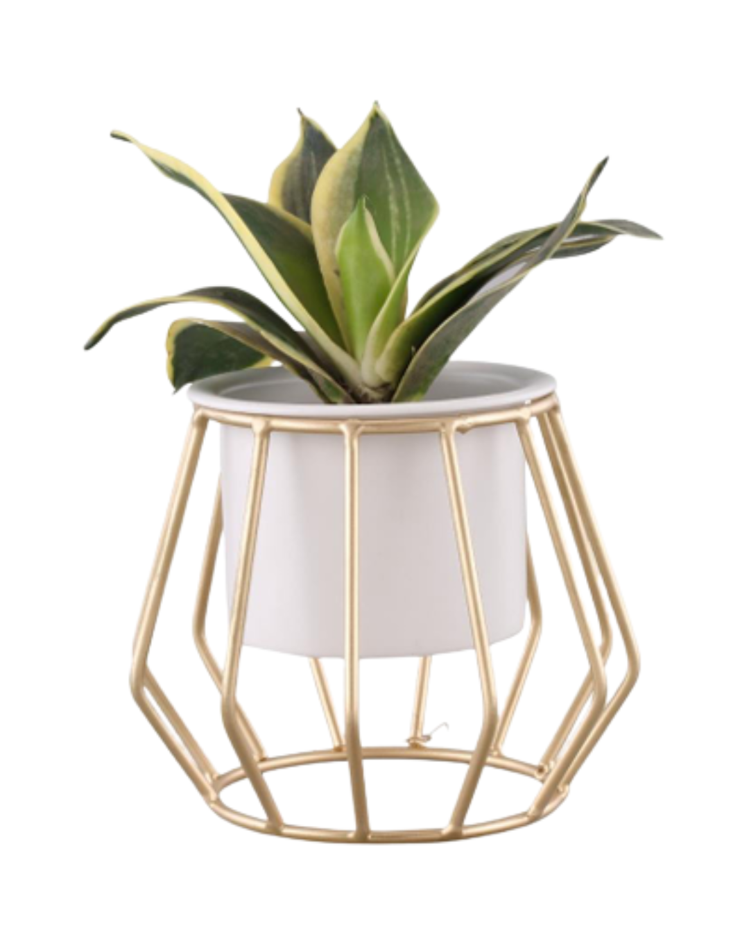 Sustainable Metallic Diamond Planter