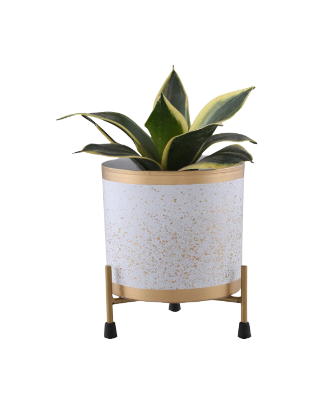 Eco-Friendly Tabletop Greenery Holder