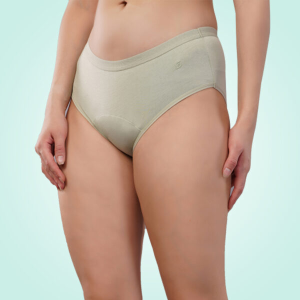 Cotton Period Panty (Hipster) (1 pc)Fig Green