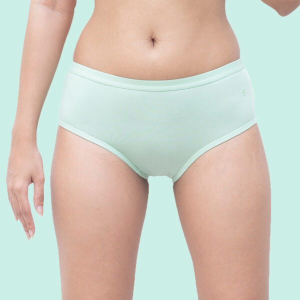 Organic Everyday Undies (Hipster) (6pc) Green Fig, Lavender Checks , Lavender