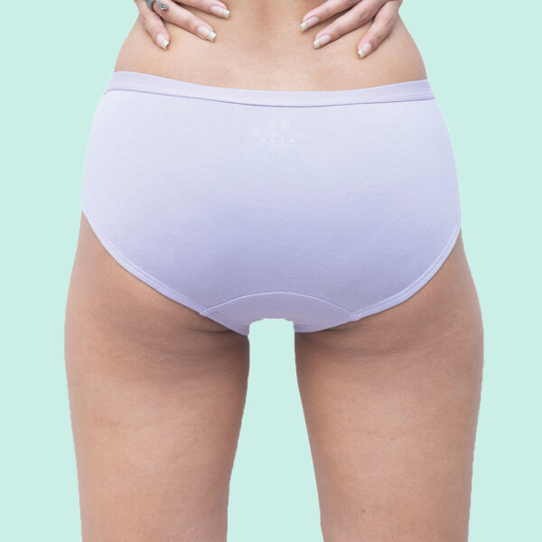 Organic Everyday Undies (Hipster) (6pc) Green Fig, Lavender Checks , Lavender