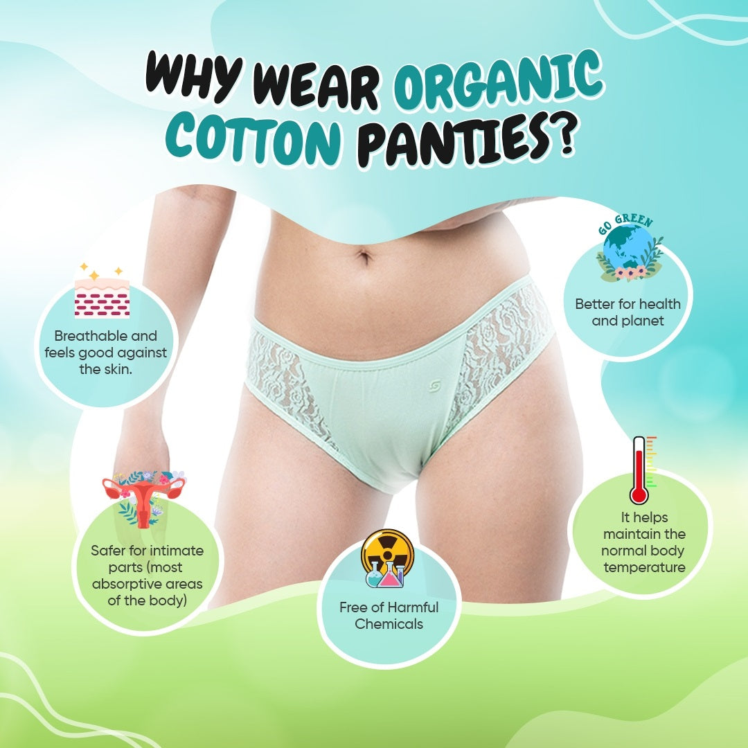 Organic Everyday Undies (Bikini) (3pc Green Fig, Lavender Checks , Lavender