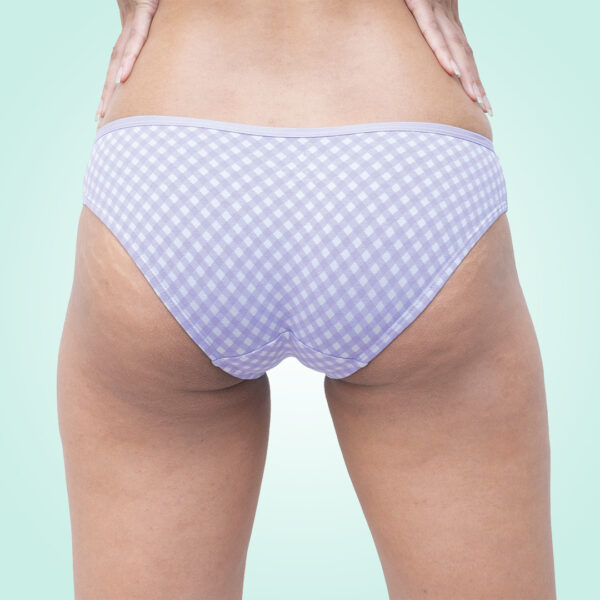 Organic Everyday Undies (Bikini) (6pc) Green Fig, Lavender Checks , Lavender
