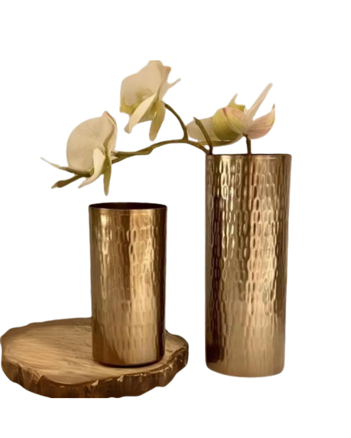 Top Eco-Friendly Materials for Plant Pots