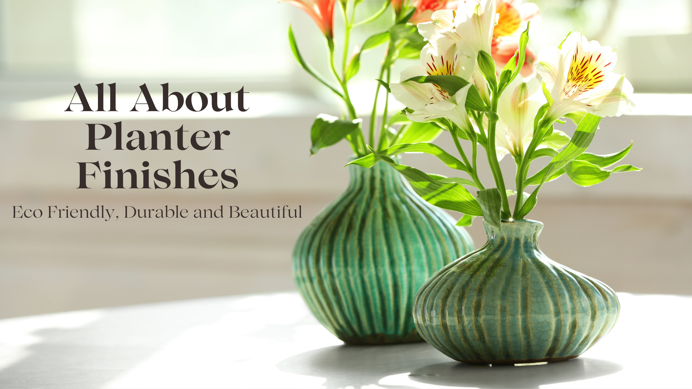 The Finishing Touch: Why Your Planter’s Coating Matters More Than You Think