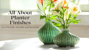 The Finishing Touch: Why Your Planter’s Coating Matters More Than You Think