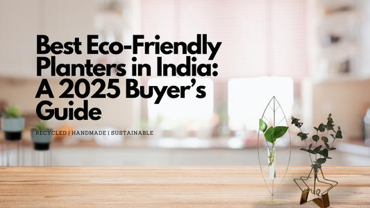 Best Eco-Friendly Planters in India: A 2025 Buyer’s Guide