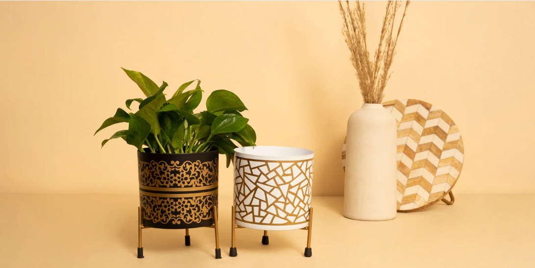 How to Choose the Best Sustainable Pots for Indoor & Outdoor Plants