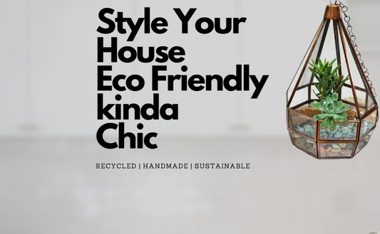 How to Style Your Home with Eco-Friendly Planters: A Room-by-Room Guide