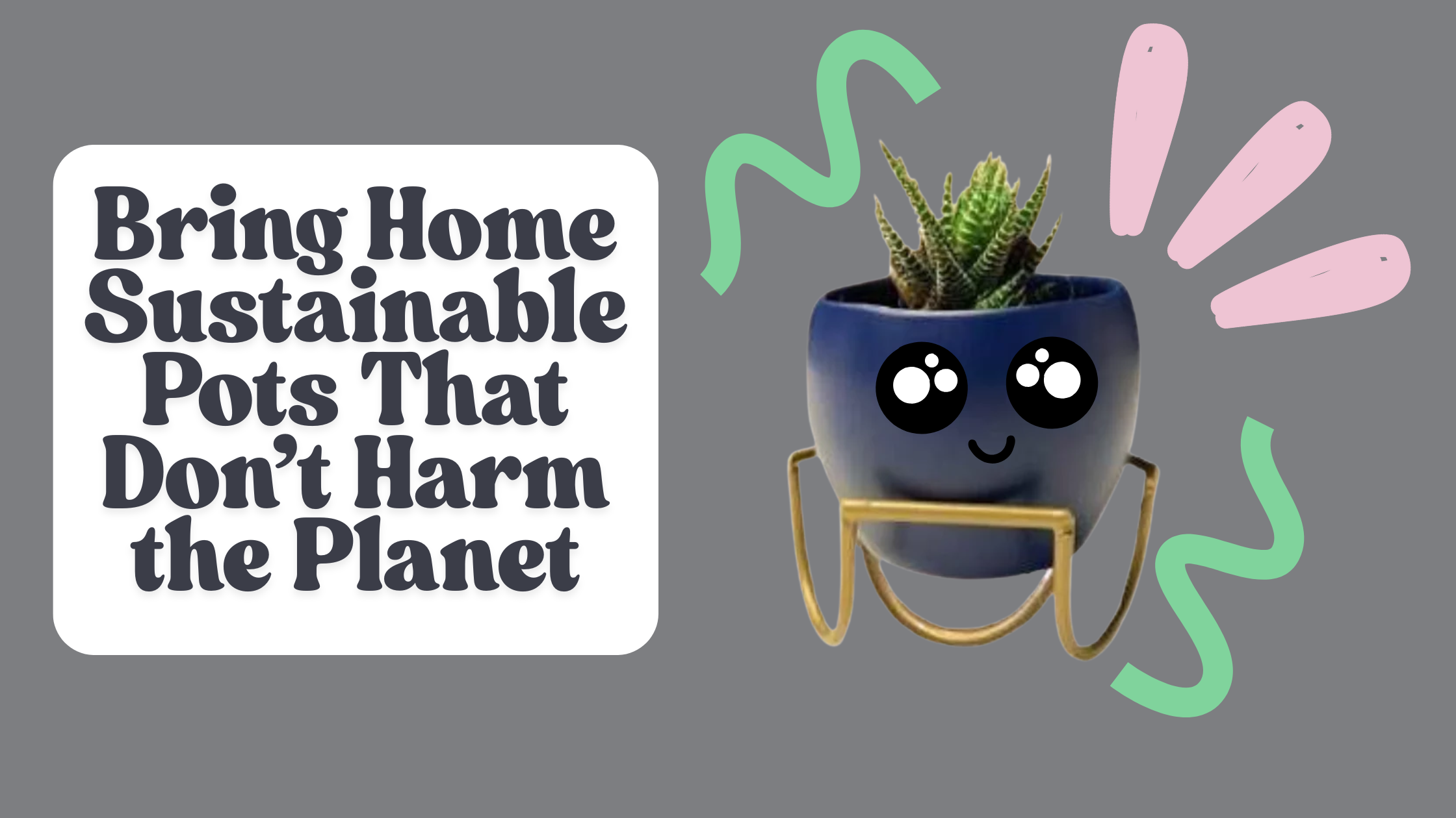 Eco Planters That Last: Choosing Sustainable Pots That Don’t Harm the Planet