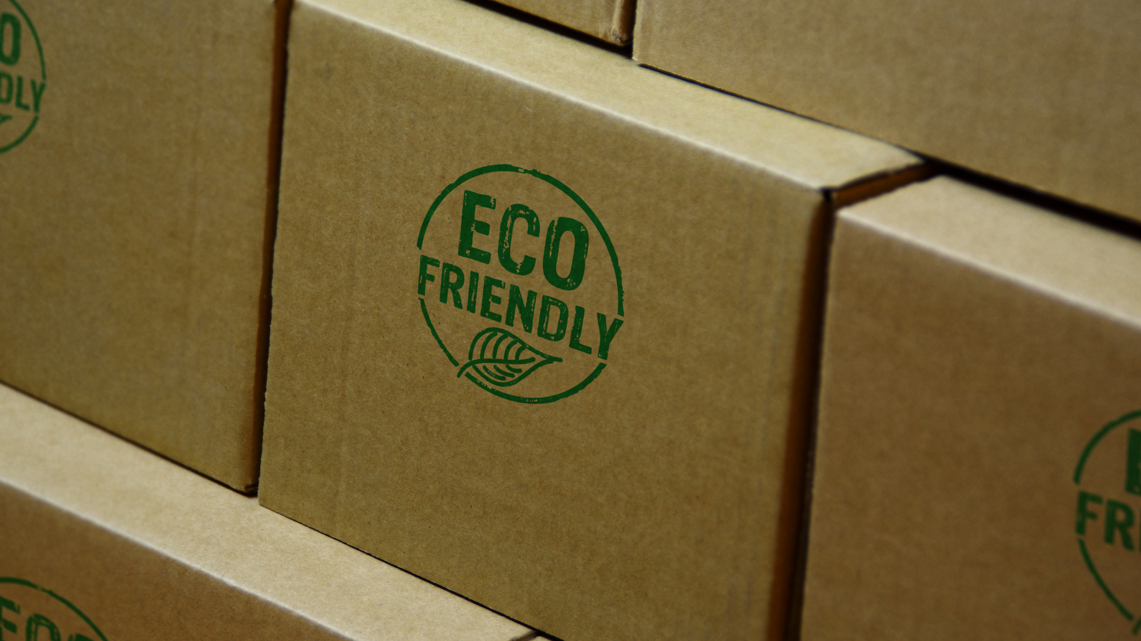 Eco-Friendly Isn’t Always Sustainable—Here’s Why