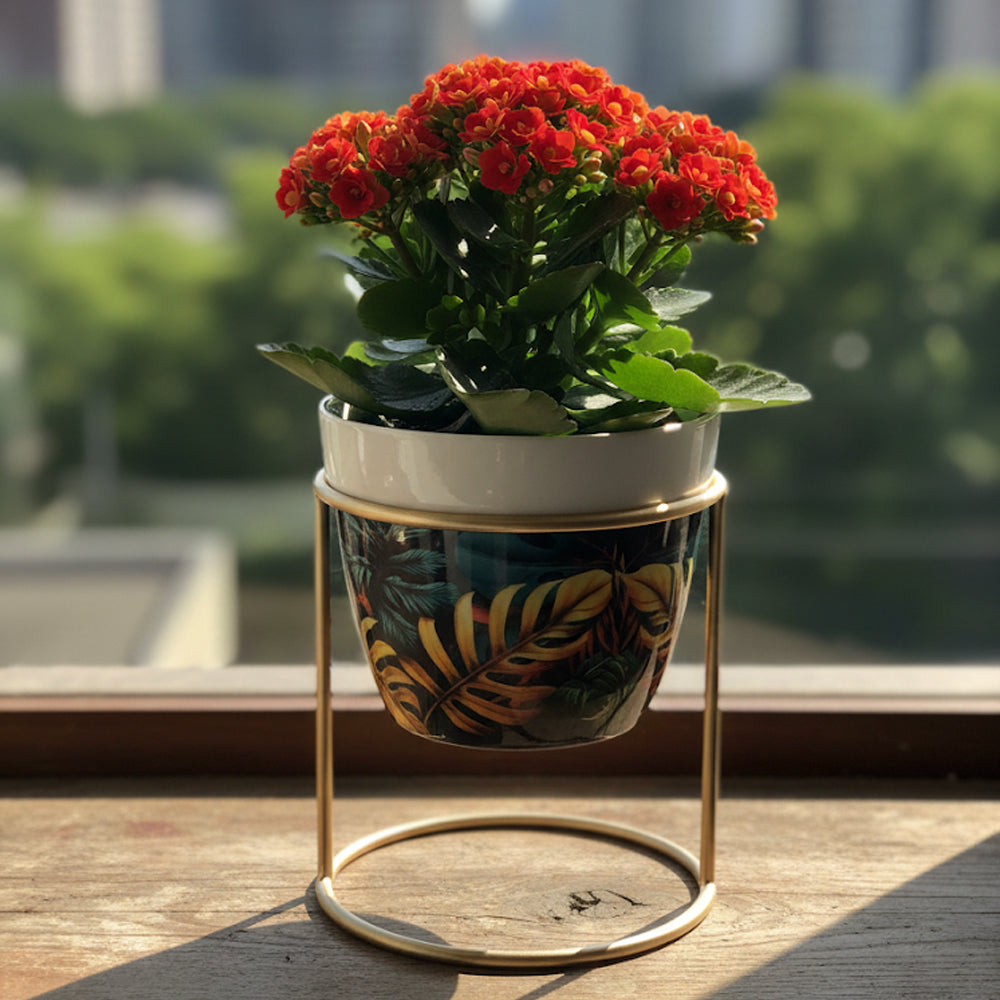 Desktop Planter With Stand