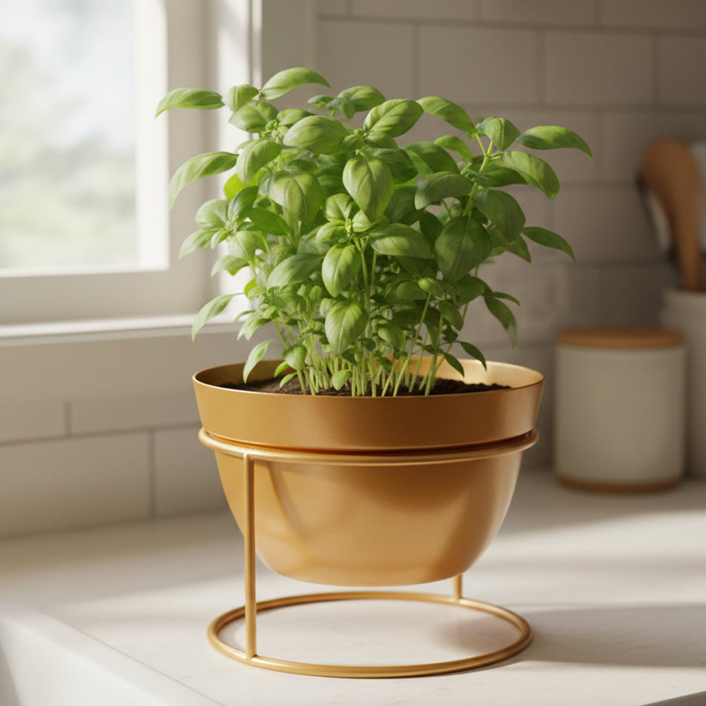 Desktop Planter With Stand