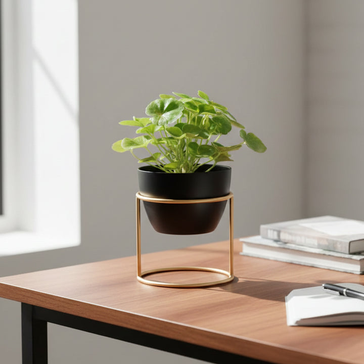 Desktop Planter With Stand