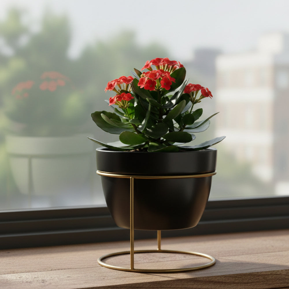 Desktop Planter With Stand