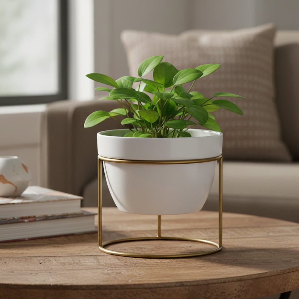 Desktop Planter With Stand