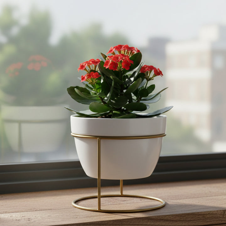 Desktop Planter With Stand