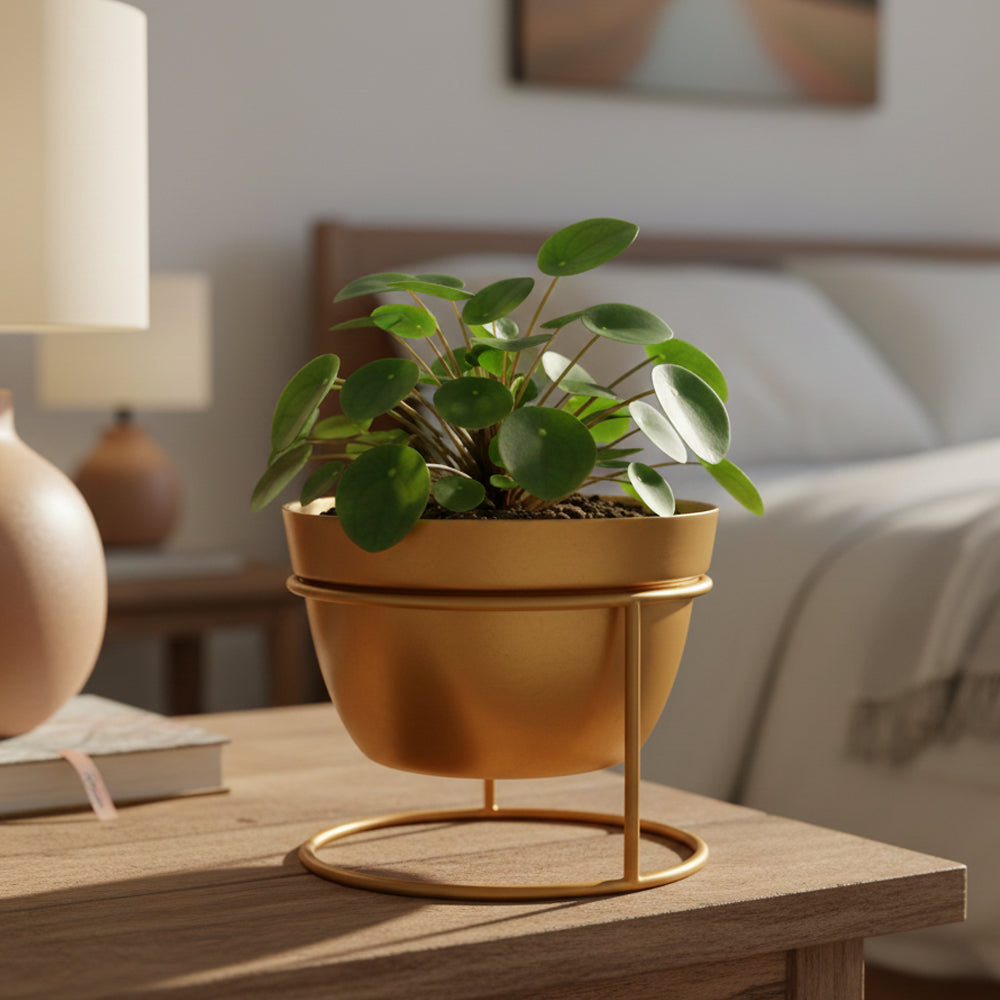 Desktop Planter With Stand