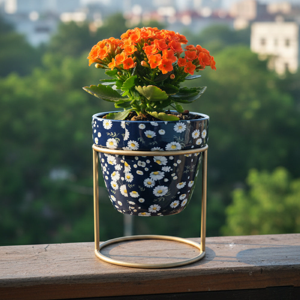 Desktop Planter With Stand