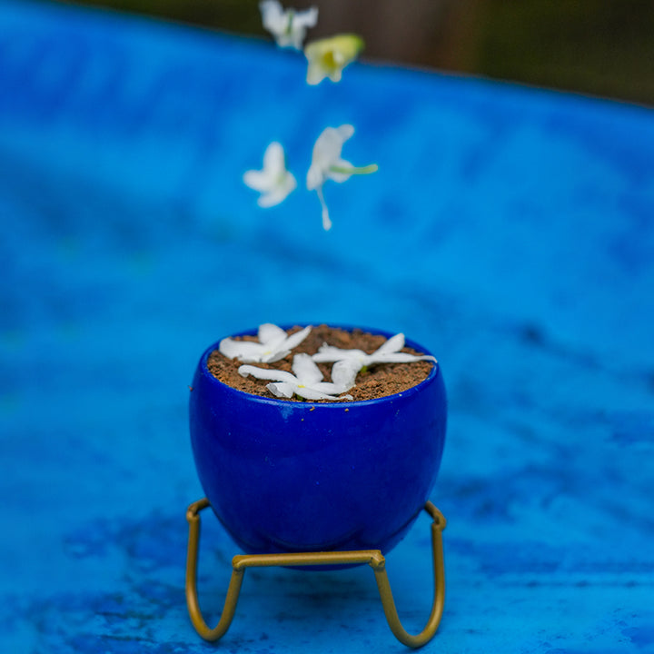 Ceramic/Earthen Planter with Metal Stand