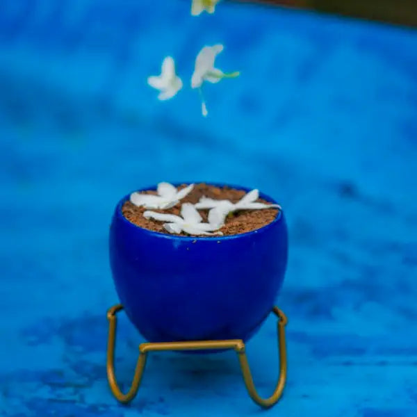 Planter with stand (Inhouse)