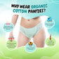 Organic Everyday Undies (Bikini) (3pc Green Fig, Lavender Checks , Lavender