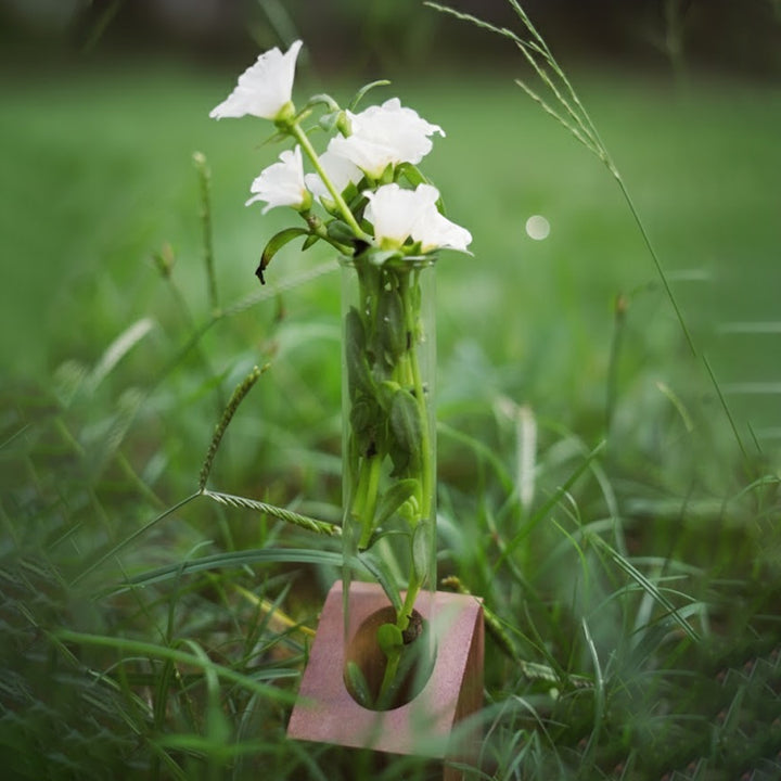 Timber Groove Solo Planter