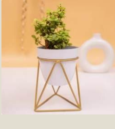 Table Top Planter