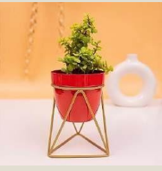 Table Top Planter