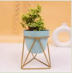 Table Top Planter