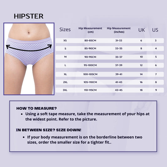Organic Everyday Undies (Hipster) (6pc) Green Fig, Lavender Checks , Lavender